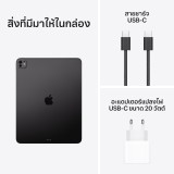 Apple iPad Pro 13 : M5 Wi-Fi 256GB with Standard glass - Space Black (2025)