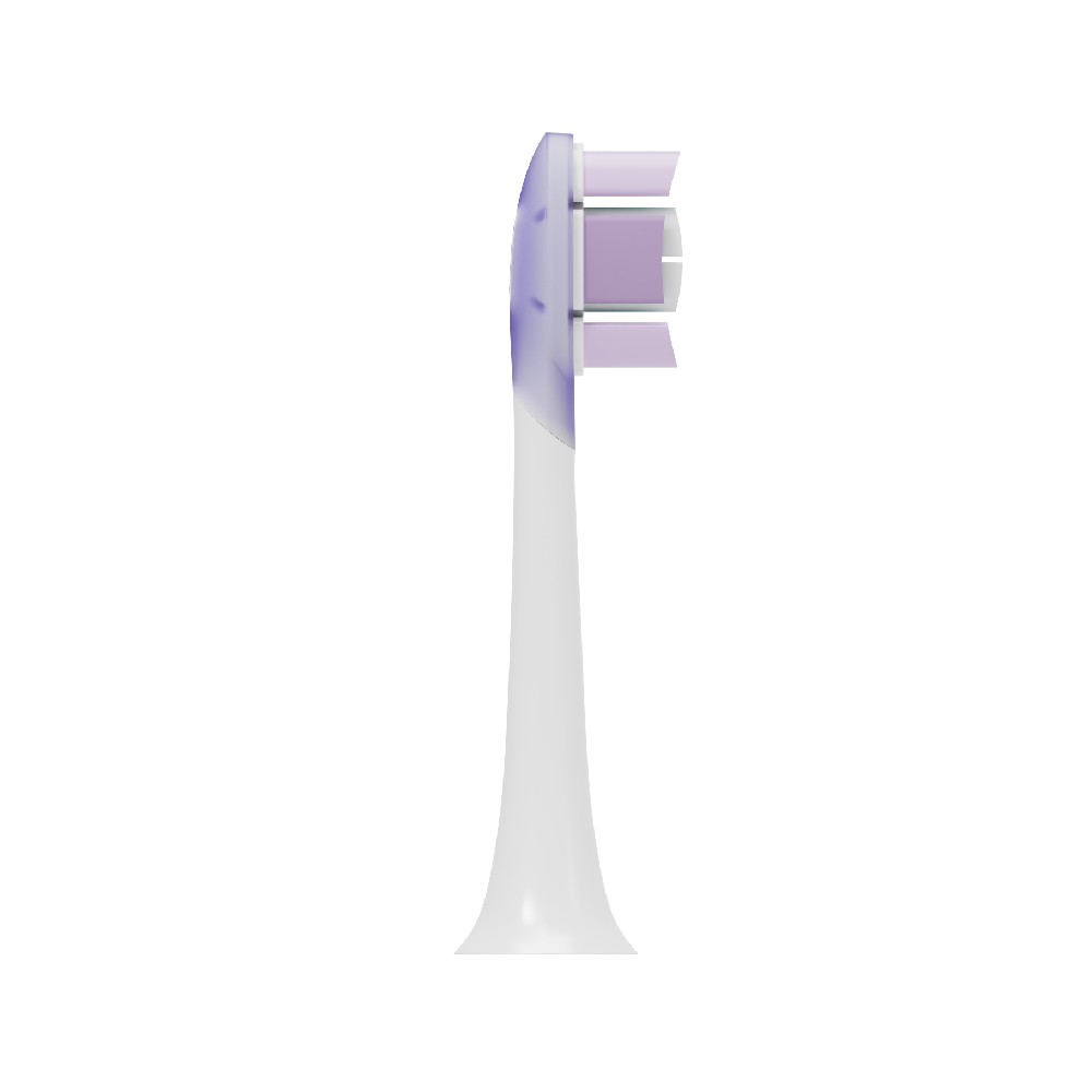 หัวแปรงสีฟัน Xiaomi Toothbrush Replacement (Soft)