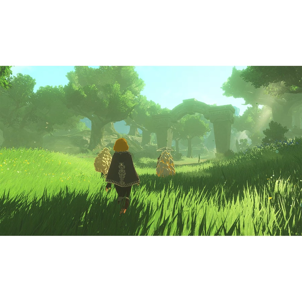 แผ่นเกม Nintendo Switch 2 : Hyrule Warriors - Age of Imprisonment
