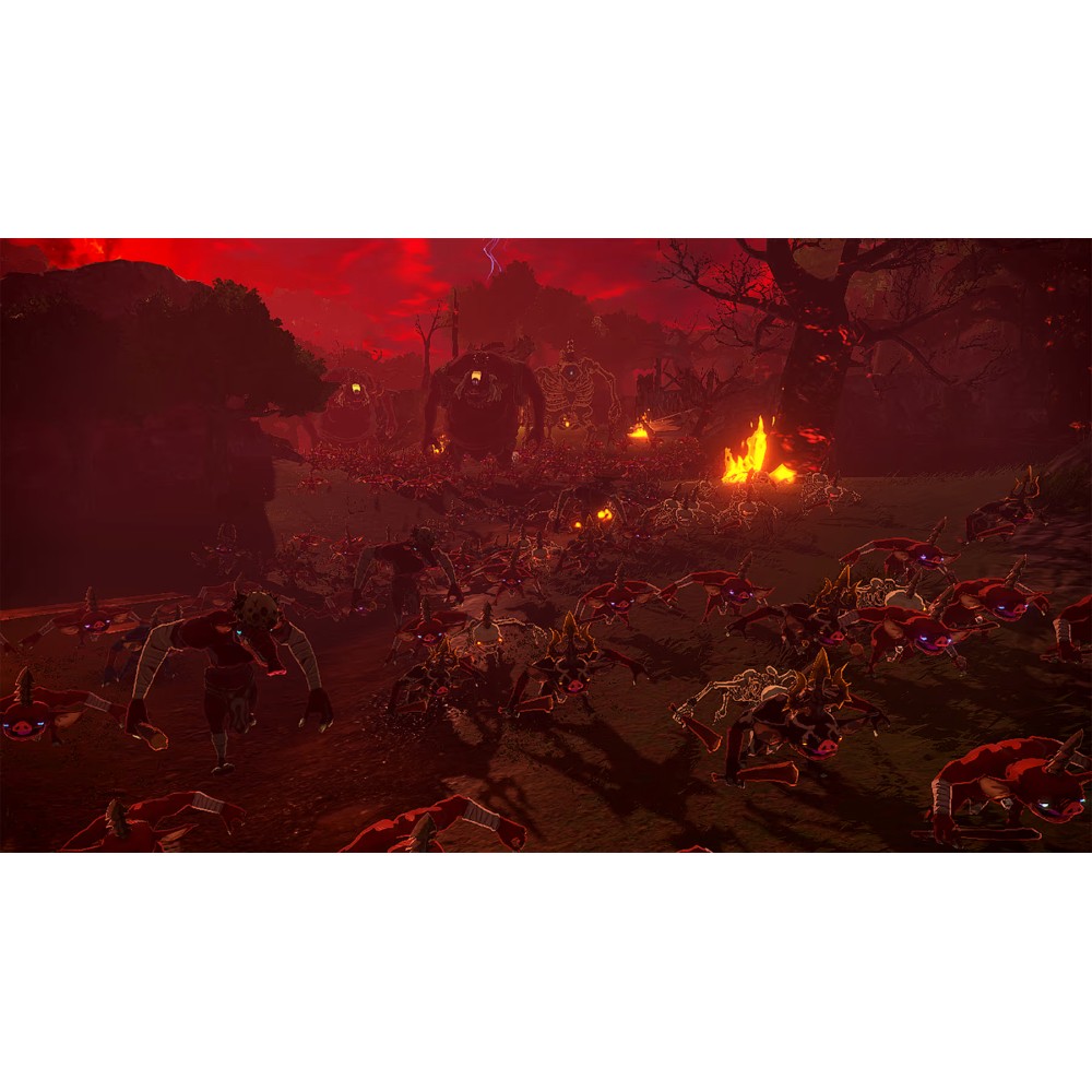 แผ่นเกม Nintendo Switch 2 : Hyrule Warriors - Age of Imprisonment