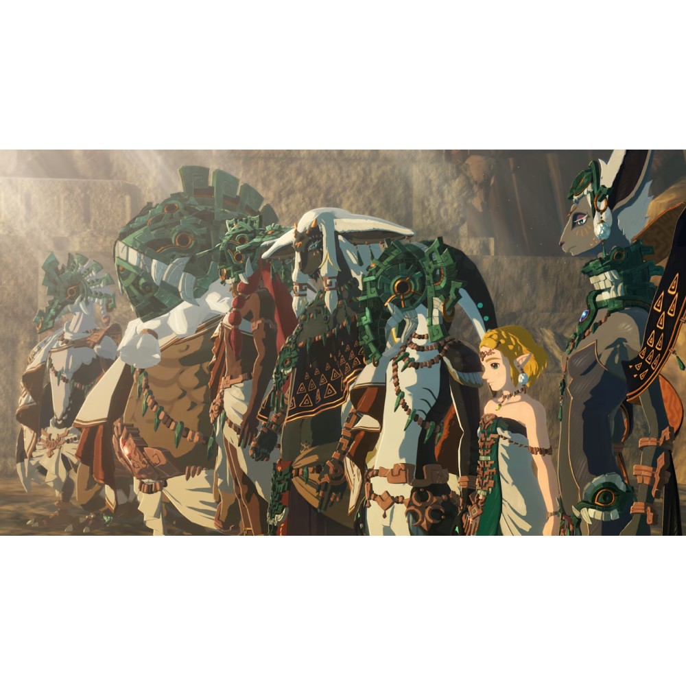 แผ่นเกม Nintendo Switch 2 : Hyrule Warriors - Age of Imprisonment