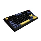 คีย์บอร์ดเกมมิ่ง Neolution E-Sport Singular Core Black