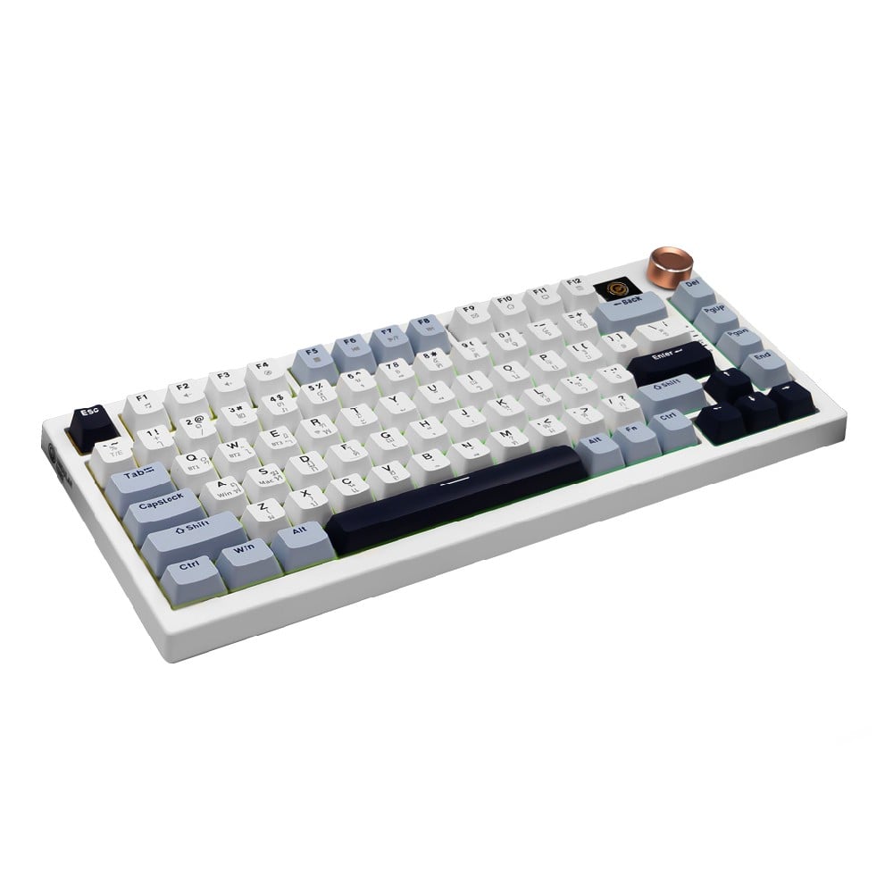 คีย์บอร์ดเกมมิ่ง Neolution E-Sport Singular Core White