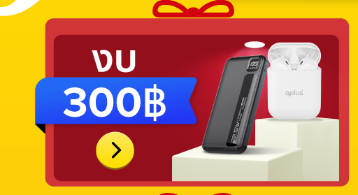 งบ300