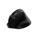 เมาส์ไร้สาย QPLUS Ergonomic Wireless Mouse 1952 Black