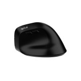 เมาส์ไร้สาย QPLUS Ergonomic Wireless Mouse 1952 Black