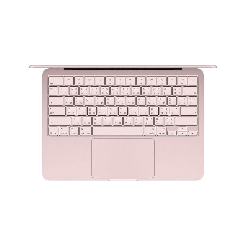 Apple MacBook Neo 13 : A18 Pro chip 6C CPU/5C GPU/8GB/256GB Blush (2026)