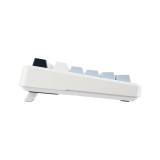 คีย์บอร์ดเกมมิ่ง AULA F99 V.3 White/Blue/Black Purple - Green Switch