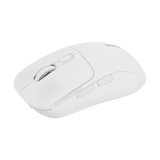 เมาส์ไร้สาย SIGNO Bluetooth Mouse BM-191 White
