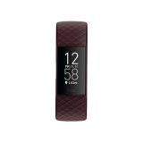 Fitbit Smartwatch Charge 4