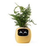 กระถางต้นไม้ PlantsIO Ivy Gen 2 Smart Planter