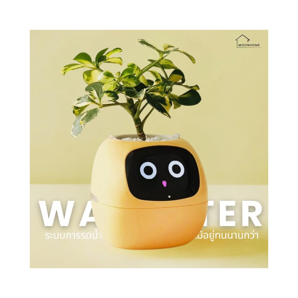 กระถางต้นไม้ PlantsIO Ivy Gen 2 Smart Planter