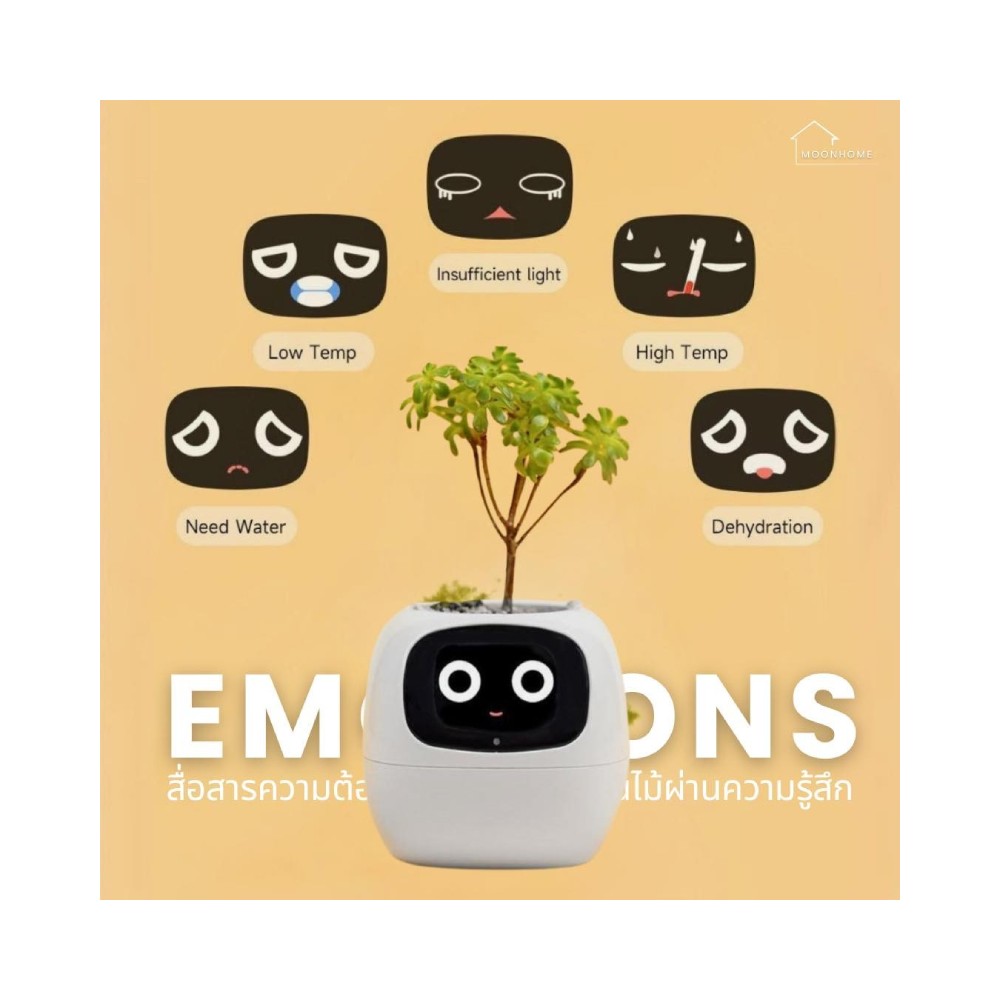 กระถางต้นไม้ PlantsIO Ivy Gen 2 Smart Planter