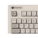 คีย์บอร์ดเกมมิ่ง Keychron R6 Swappable RGB Backlight Silent Banana Switch - Retro