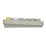 คีย์บอร์ดเกมมิ่ง Signo Gaming Keyboard RGB NARZISS KB-734GY Green /White