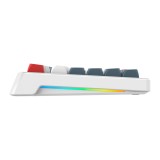 คีย์บอร์ดเกมมิ่ง Signo Gaming Keyboard Tri-Mode ALESTER KB-733W White