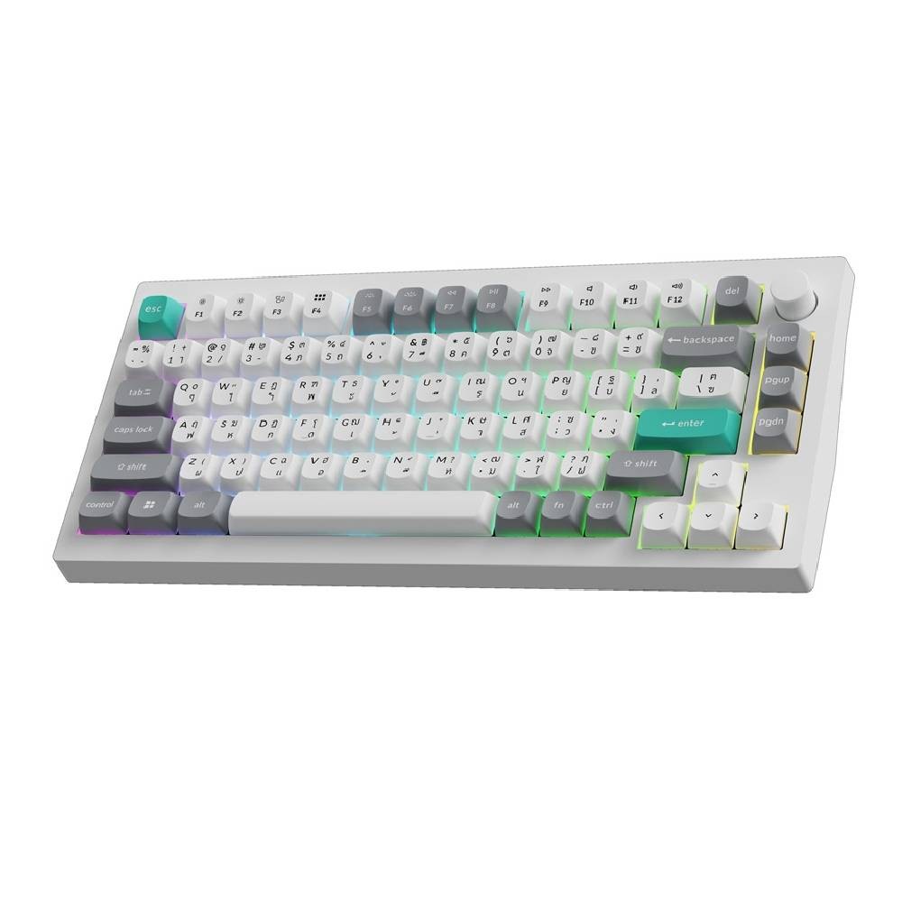 คีย์บอร์ดเกมมิ่ง Keychron C75 TMR 8K Wired Magnetic Keyboard Rapid Trigger Gasket mount - Space Silver