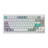 คีย์บอร์ดเกมมิ่ง Keychron C75 TMR 8K Wired Magnetic Keyboard Rapid Trigger Gasket mount - Space Silver