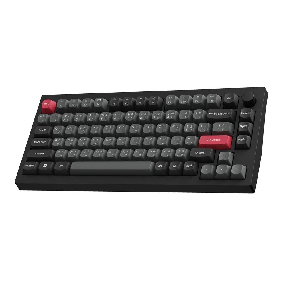 คีย์บอร์ดเกมมิ่ง Keychron C75 TMR 8K Wired Magnetic Keyboard Rapid Trigger Gasket mount - Carbon Black