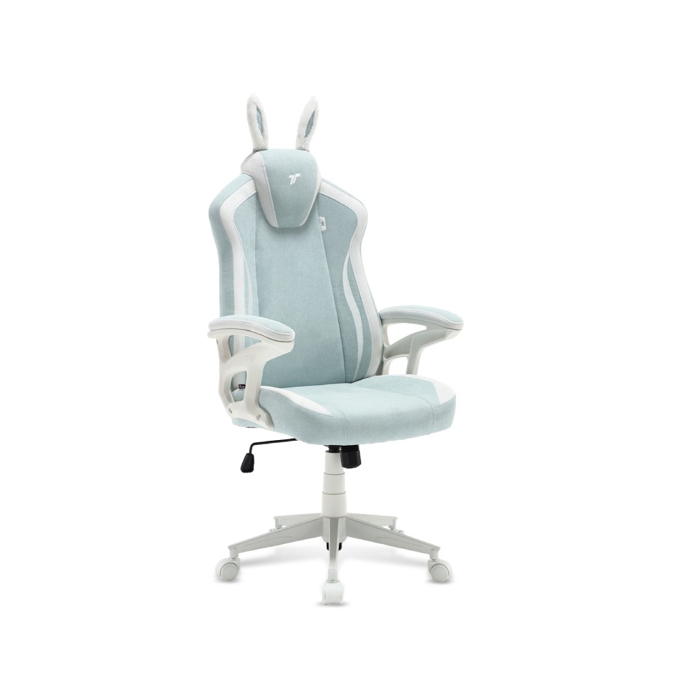 เก้าอี้เกมมิ่ง TTRacing Duo V4 Air Threads Fabric - BunnyBliss