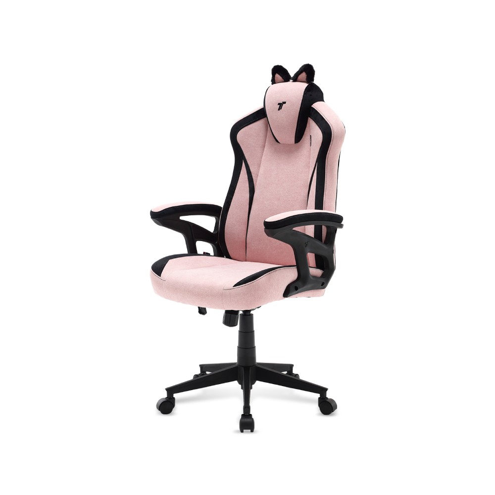 เก้าอี้เกมมิ่ง TTRacing Duo V4 Air Threads Fabric - KittyPuff