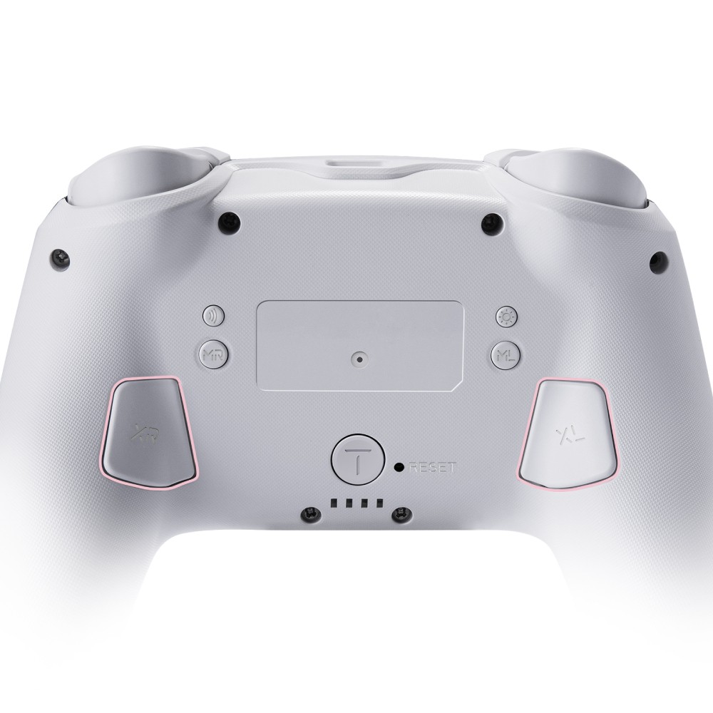 จอยคอนโทรลเลอร์ FUNLAB Firefly Pro Wireless Switch Controller - Cat Paw