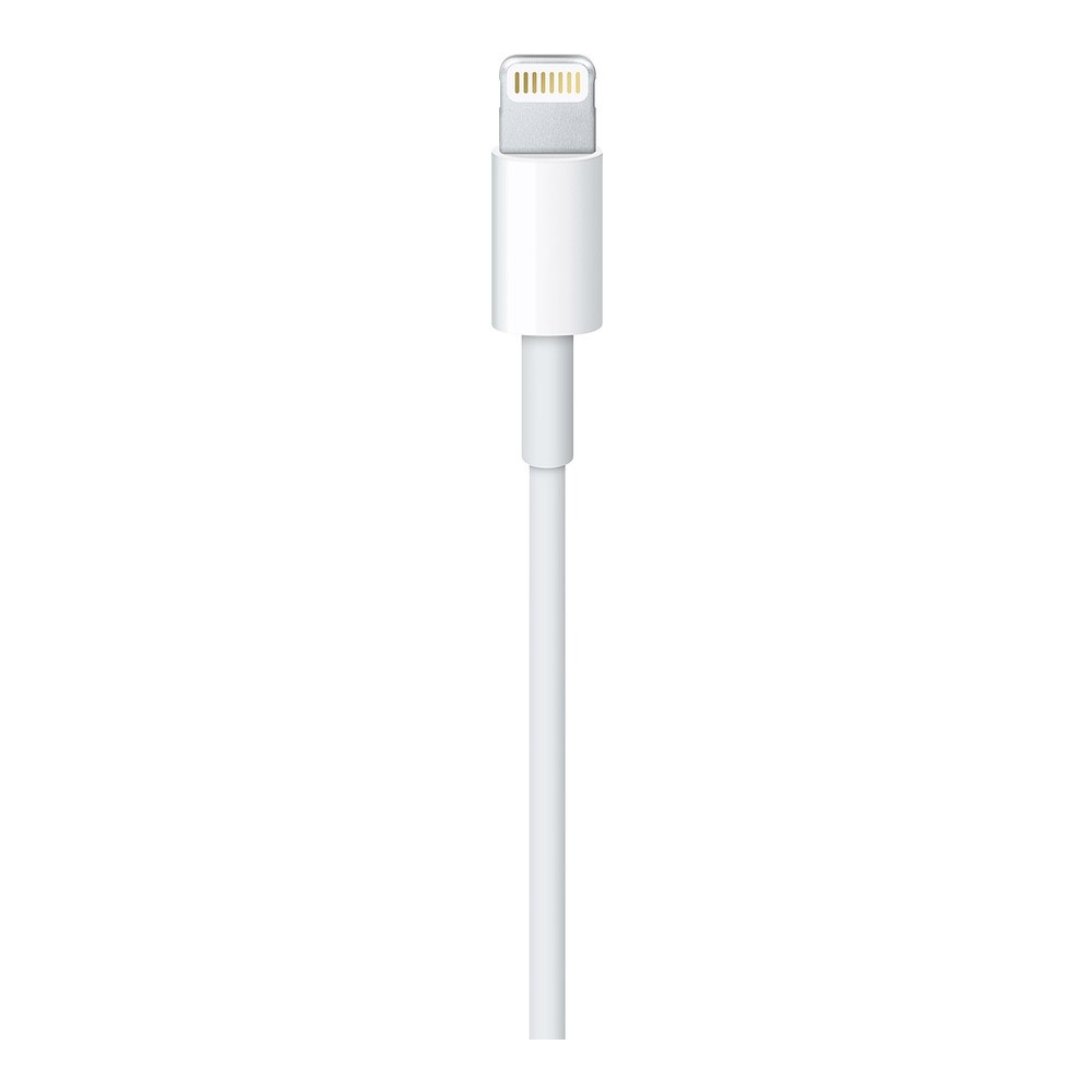 Apple Lightning to USB Cable (1 m)