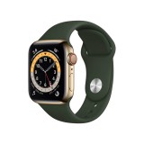 Apple Watch Series 6 Gold Stainless Steel Case